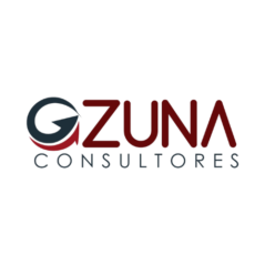 ozunaconsultores.com